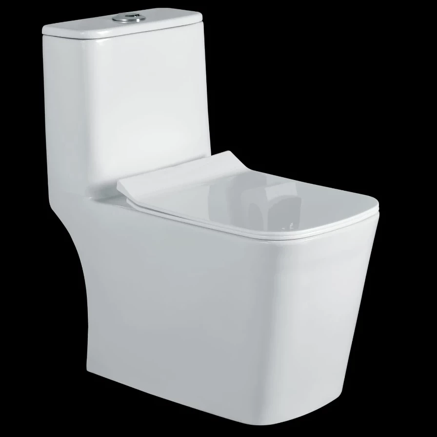 One Piece Toilet