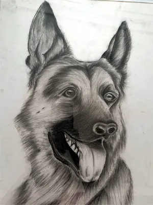 Student artwork