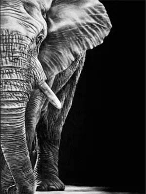 Student artwork
