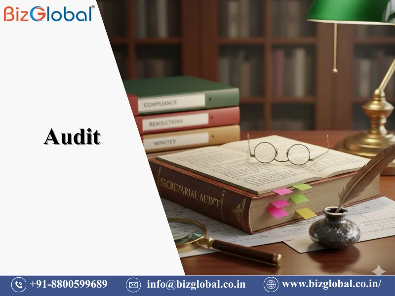 Audit services for statutory compliance and financial transparency