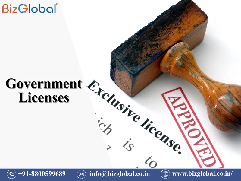 Government licence and permit services for legal business operations in India