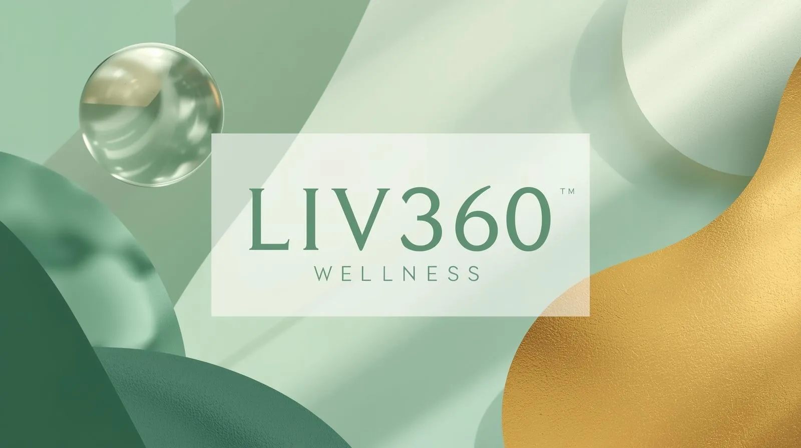 LIV360 Brand Identity