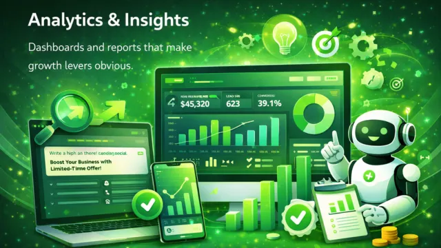 Analytics & Insights